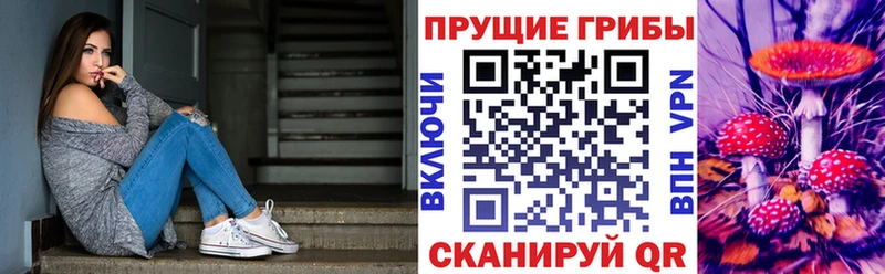 как найти закладки  Магадан  ссылка на мегу сайт  Псилоцибиновые грибы GOLDEN TEACHER 